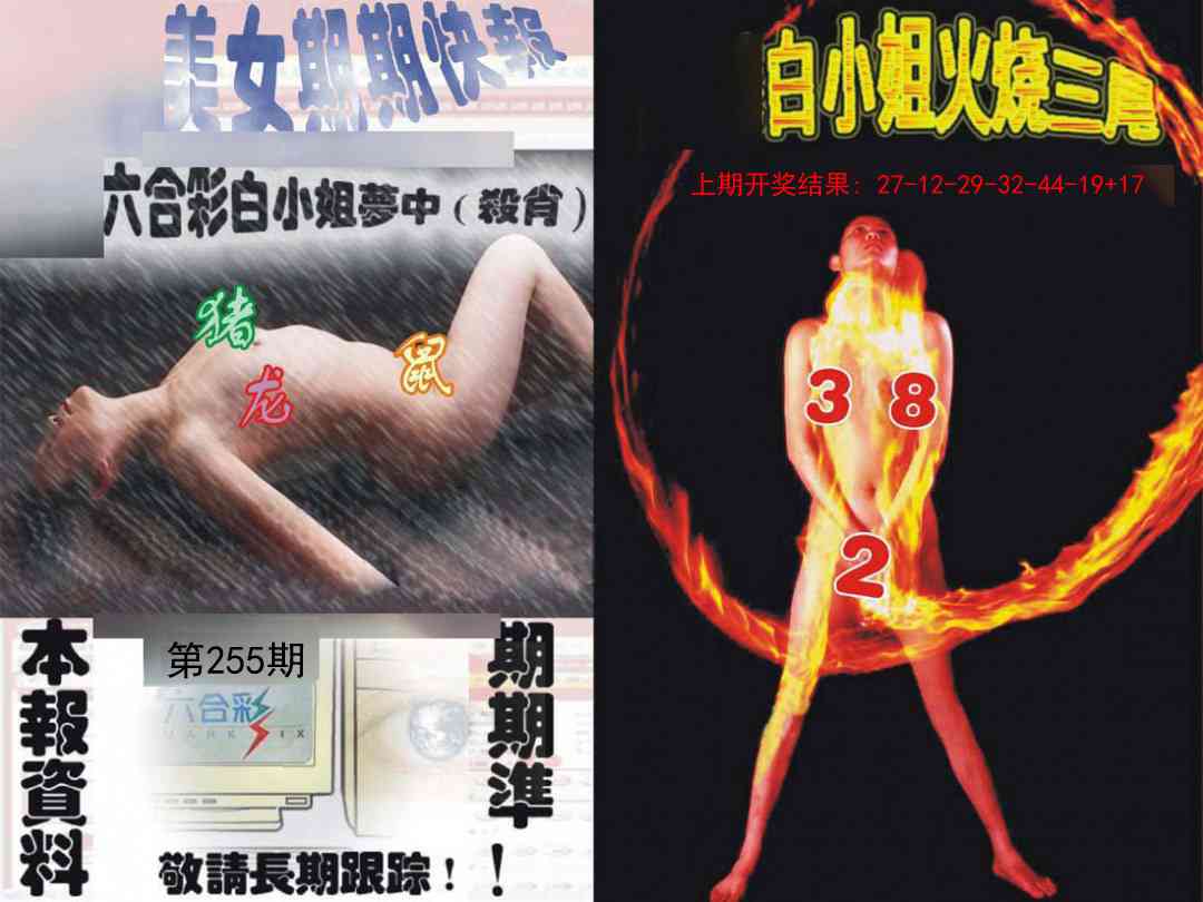 255期环球美女特码报[图]