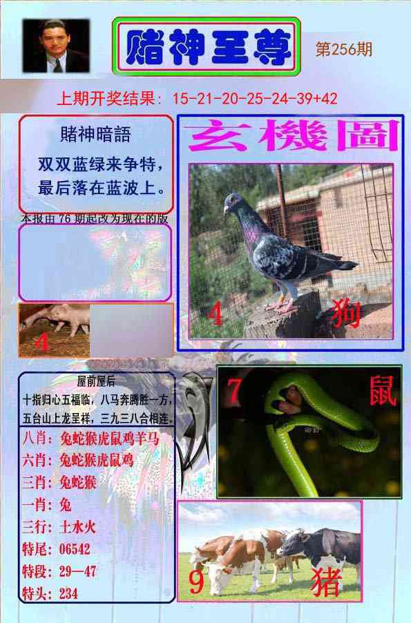 256期赌神至尊[图]