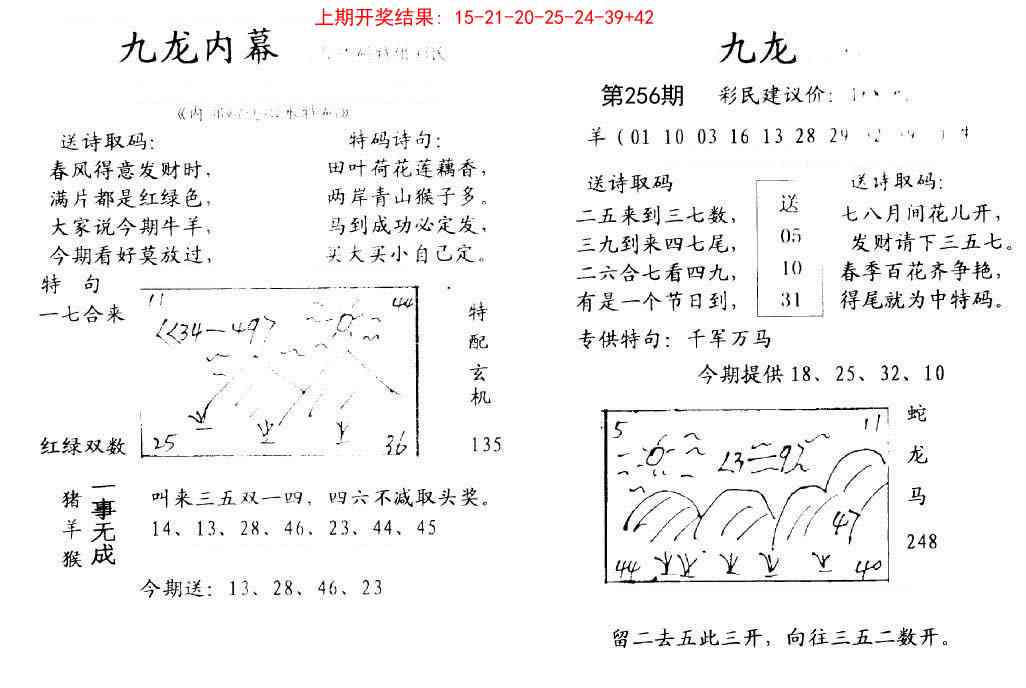 256期九龙内幕[图]