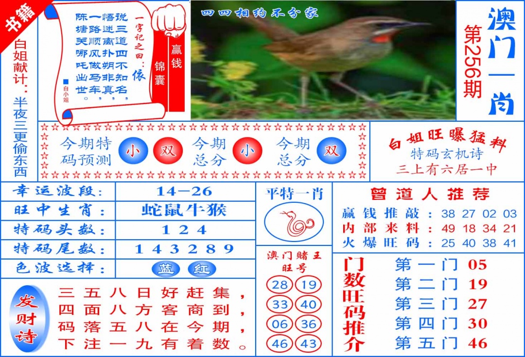 256期澳门东北虎[图]