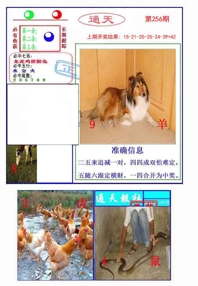 256期通天杀波图2[图]