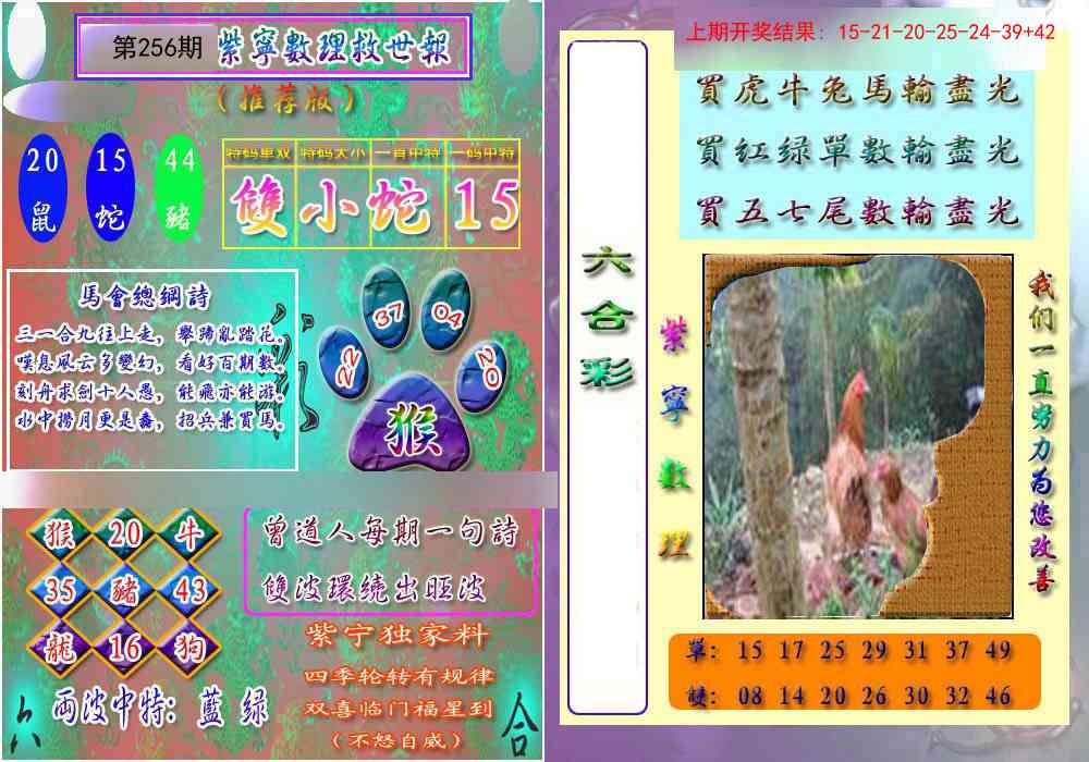 256期数理救世报[图]