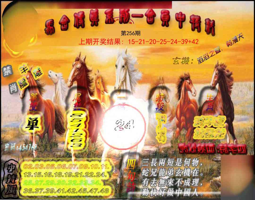 256期马会传真-会员报[图]