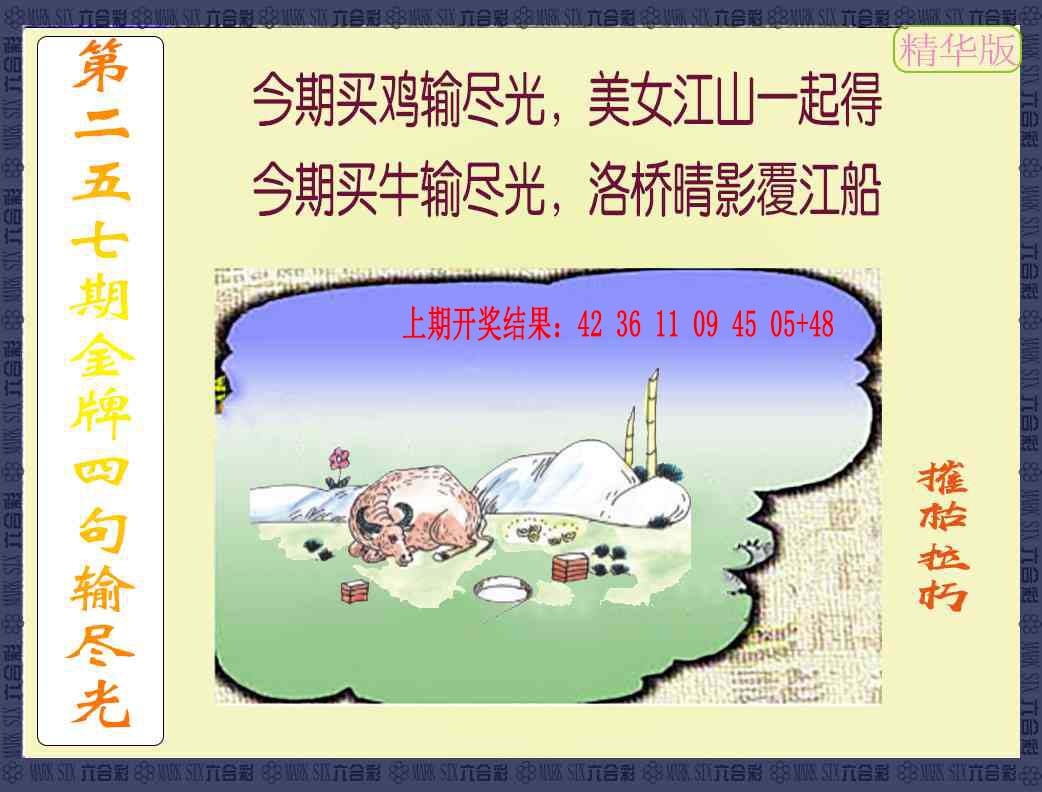 257期金牌四句输尽光[图]