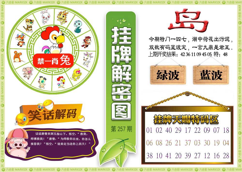 257期挂牌解密[图]