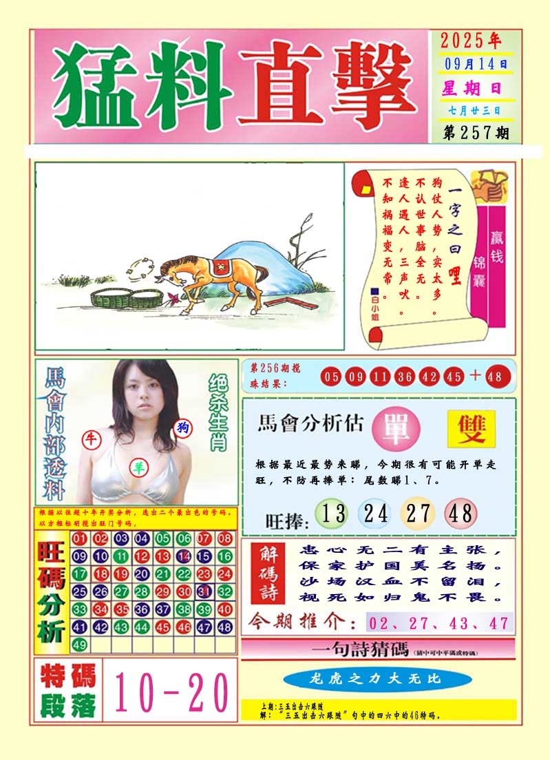 257期猛料直击A[图]