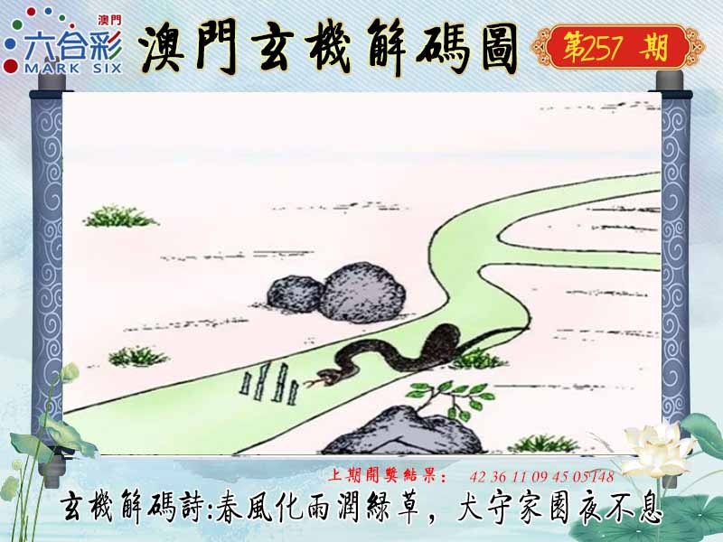 257期玄机解码图[图]