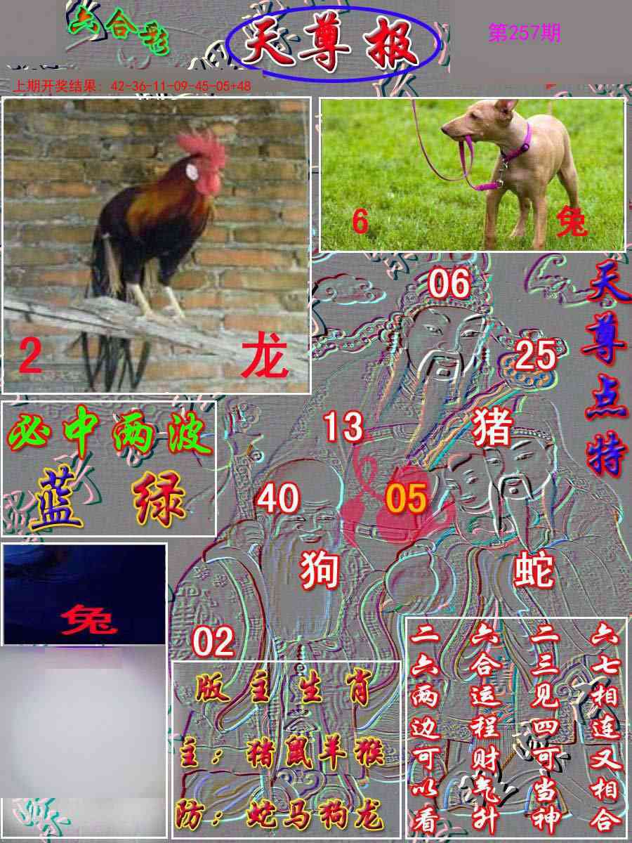 257期天尊报[图]