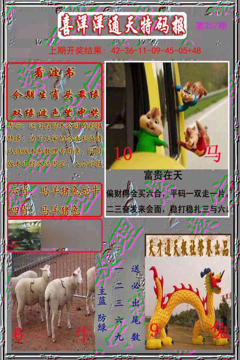 257期洋通报[图]