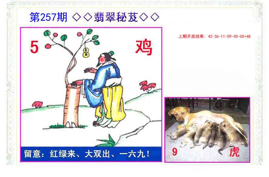 257期翡翠报[图]