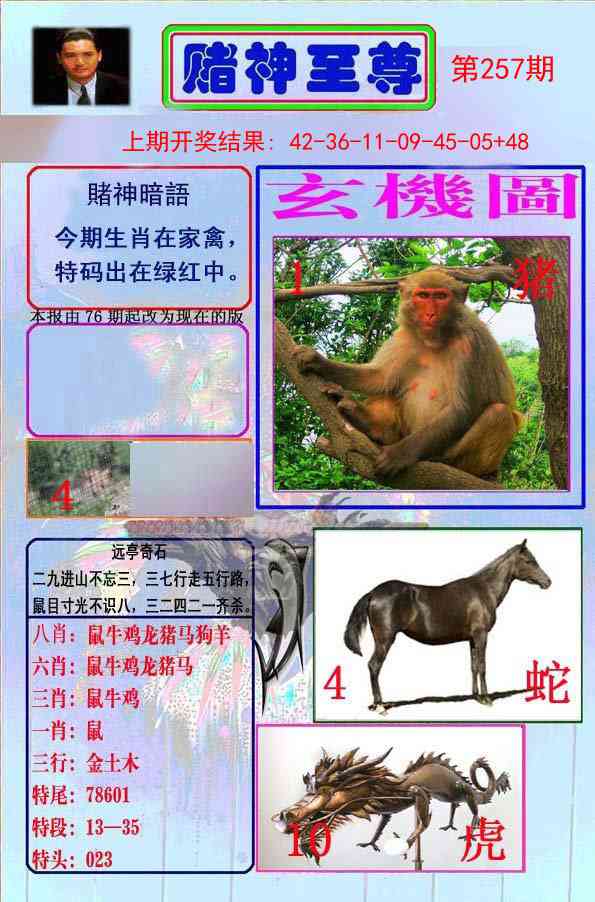 257期赌神至尊[图]