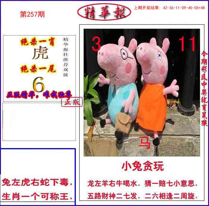257期新精华报报[图]