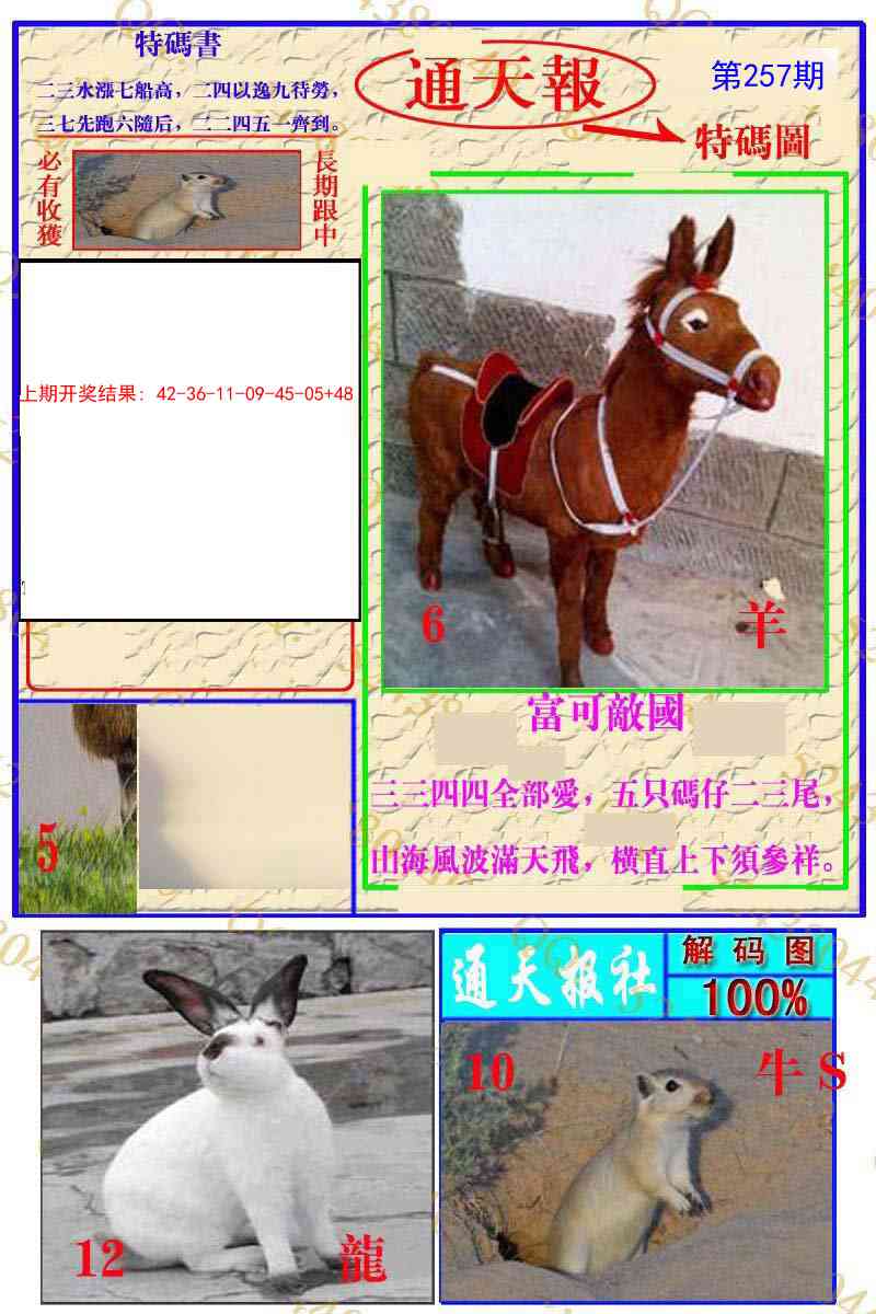 257期通天特解图[图]