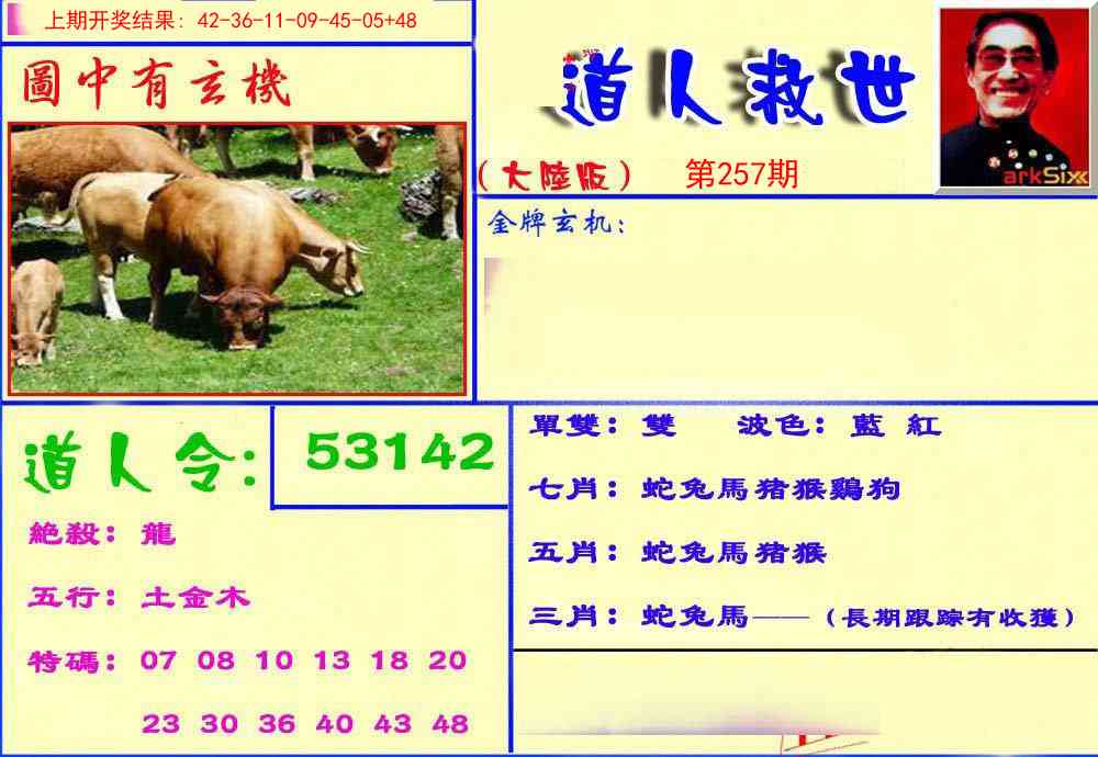 257期道人救生报[图]