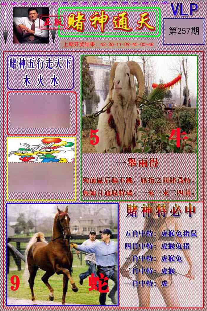 257期赌神通天报[图]