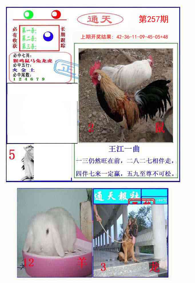 257期通天杀波图2[图]