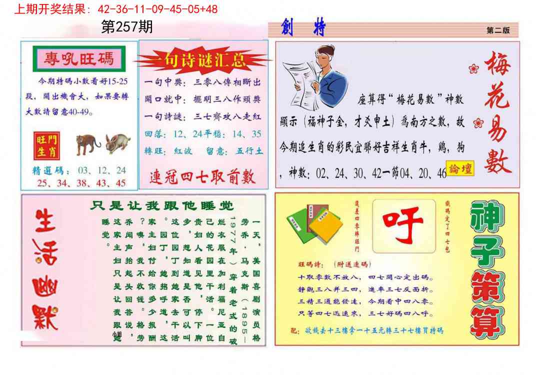 257期九龍创特B(推荐)[图]