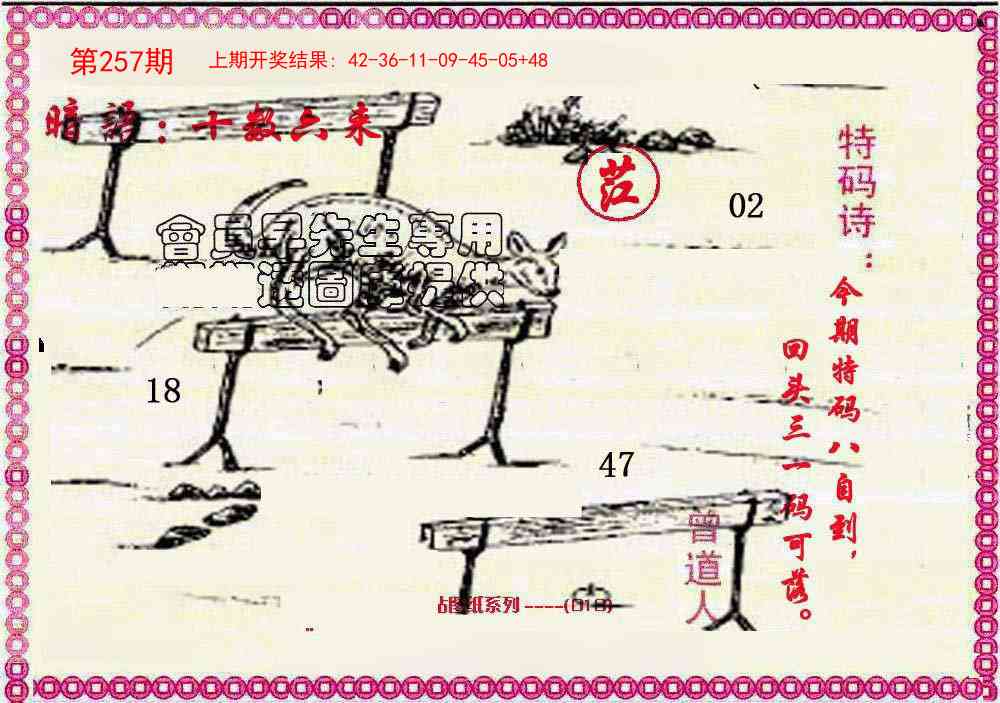 257期新暗语报[图]