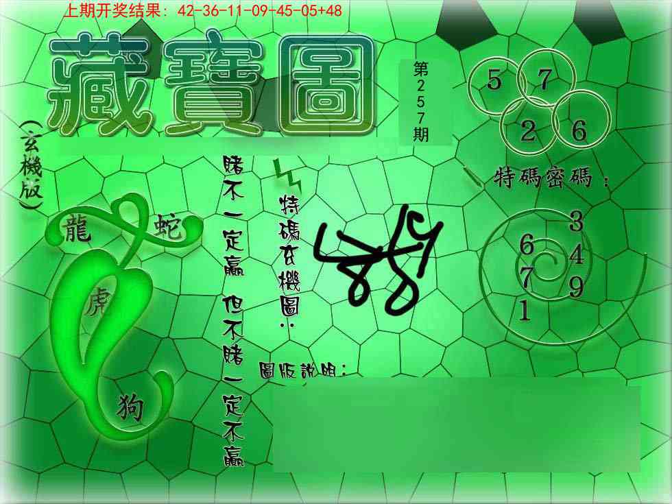 257期九龍玄机报[图]