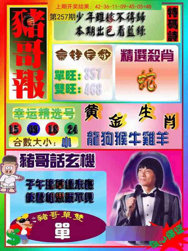 257期猪哥报[图]
