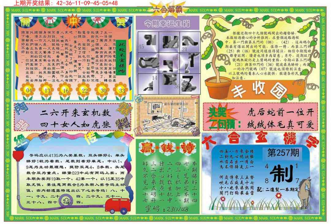257期六合解霸B[图]