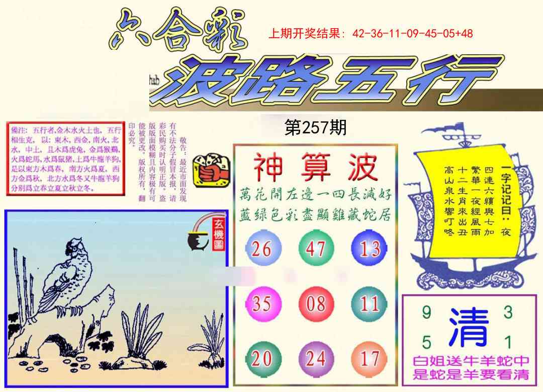 257期波路五行[图]