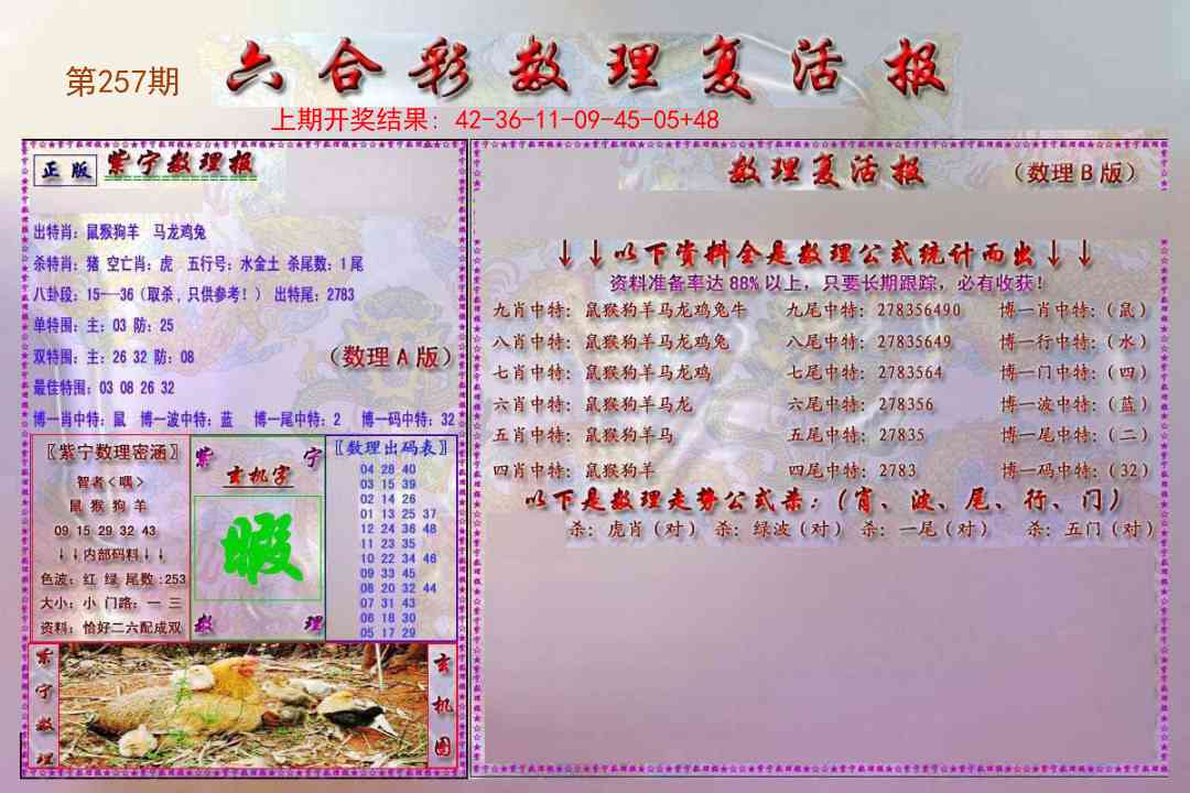 257期数理复活报[图]