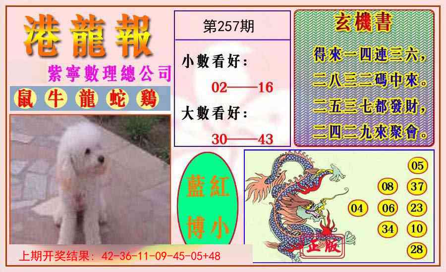 257期港龙报[图]