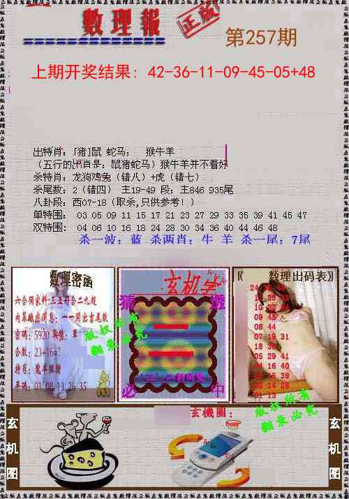 257期数理报[图]