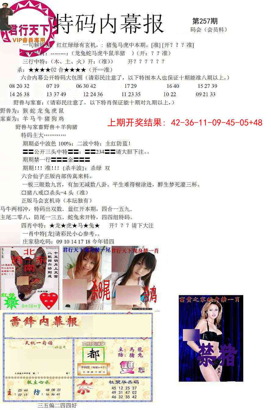 257期特码内幕报[图]