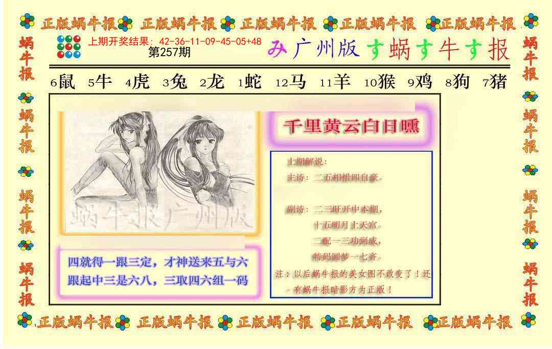 257期正版蜗牛报[图]