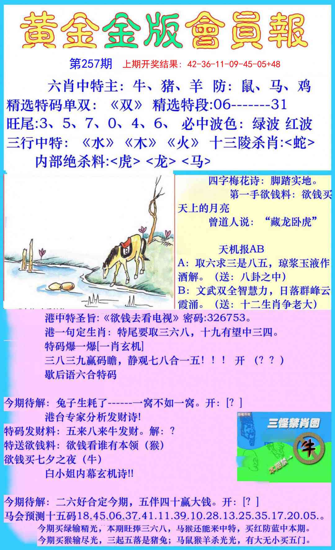 257期黄金金版会员报[图]