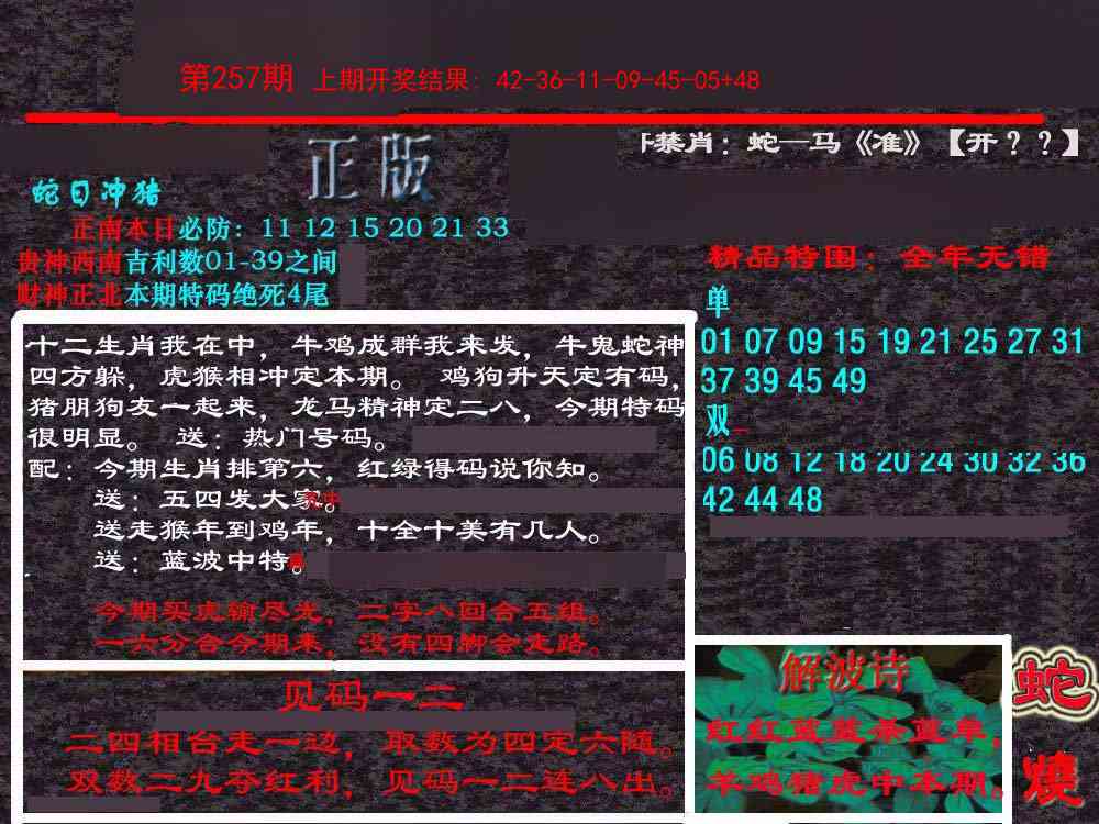 257期新港内幕[图]