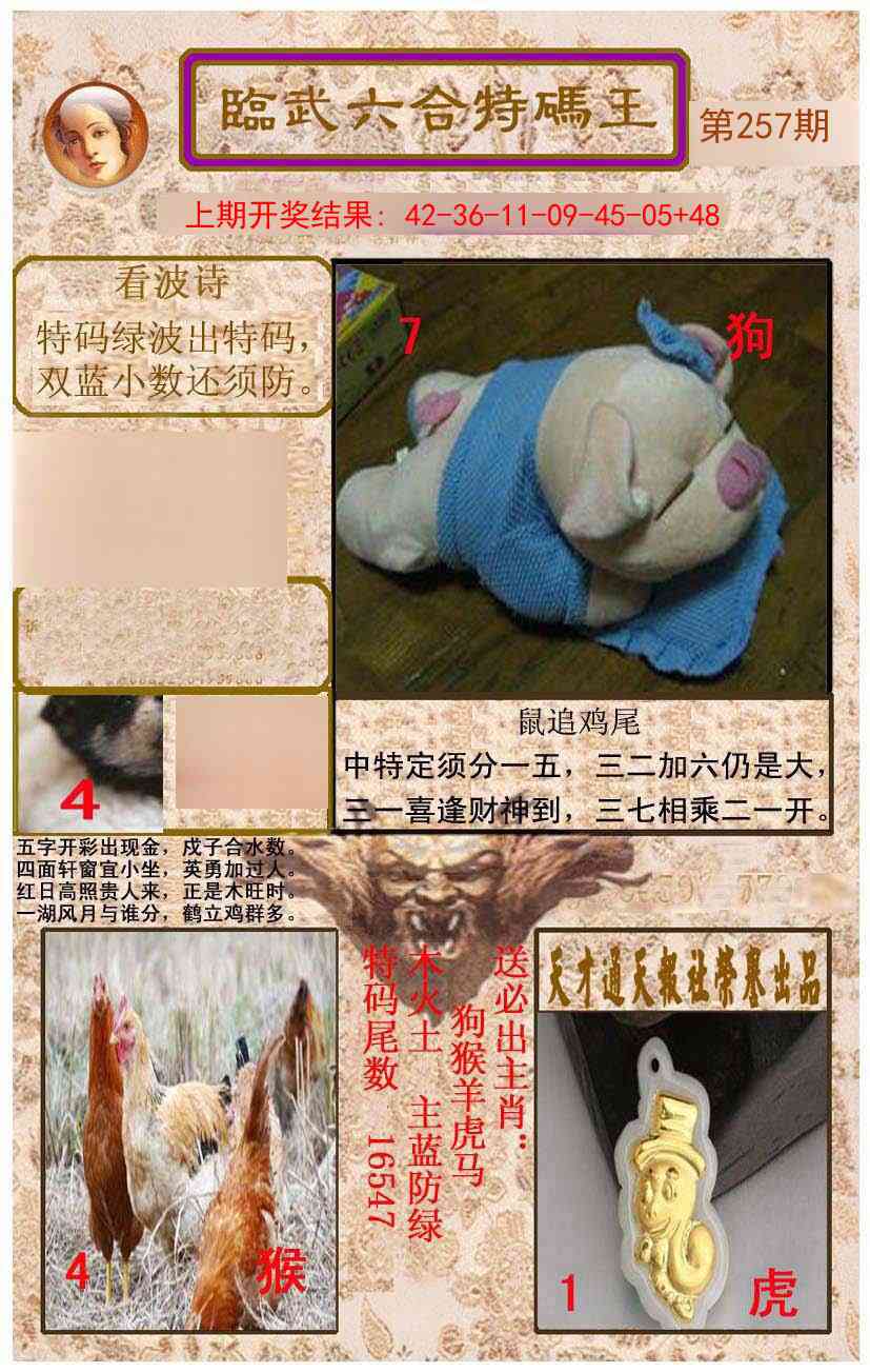 257期临武六合特码王[图]