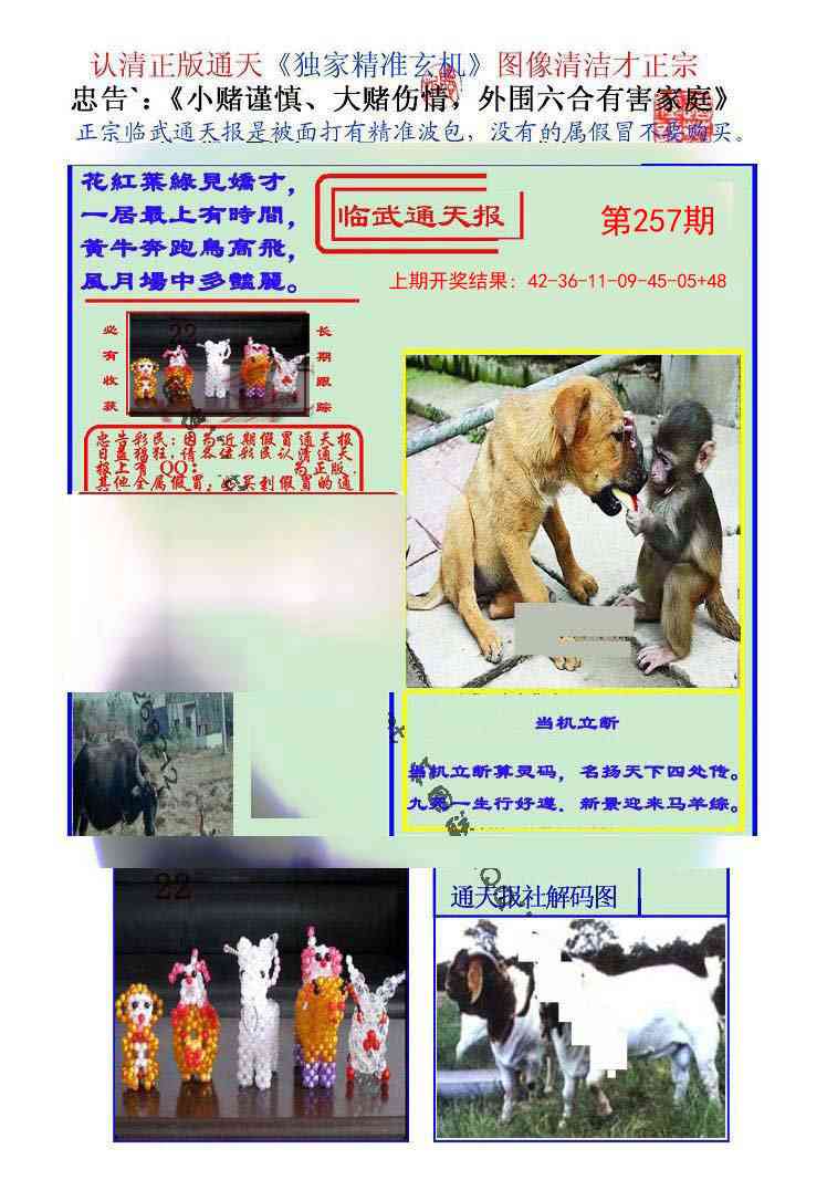257期临武通天报[图]