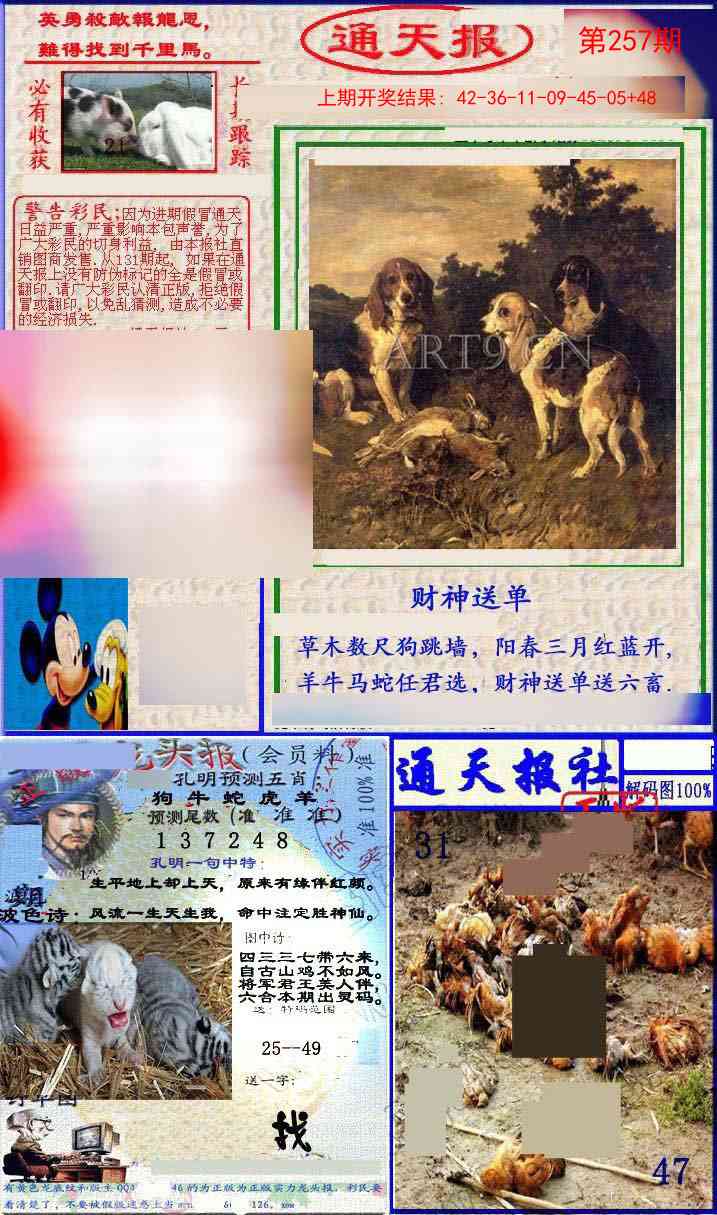 257期实力通天报[图]