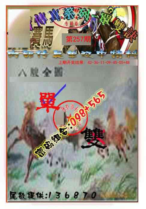 257期马会传真-单双诀[图]