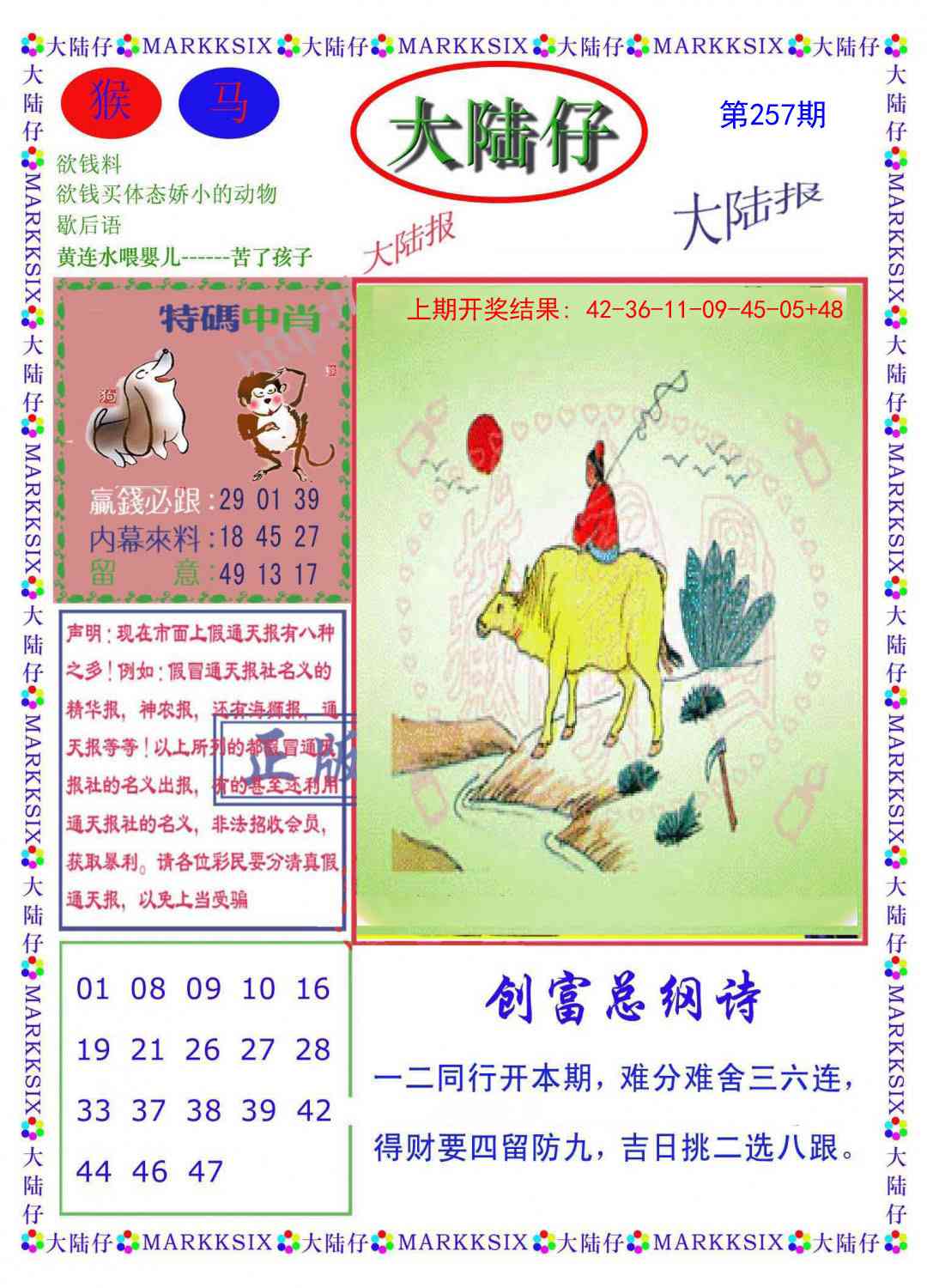 257期大陆仔[图]