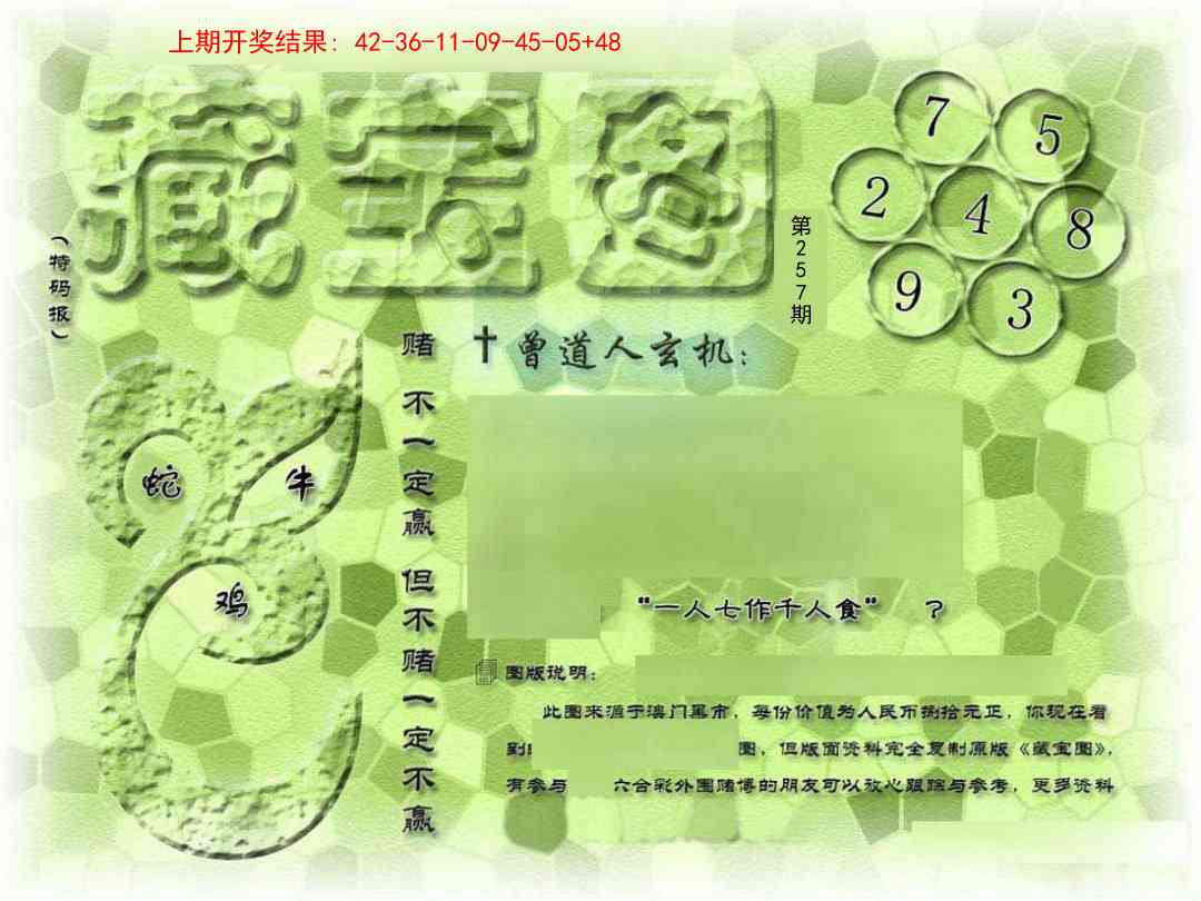 257期假新藏宝图[图]