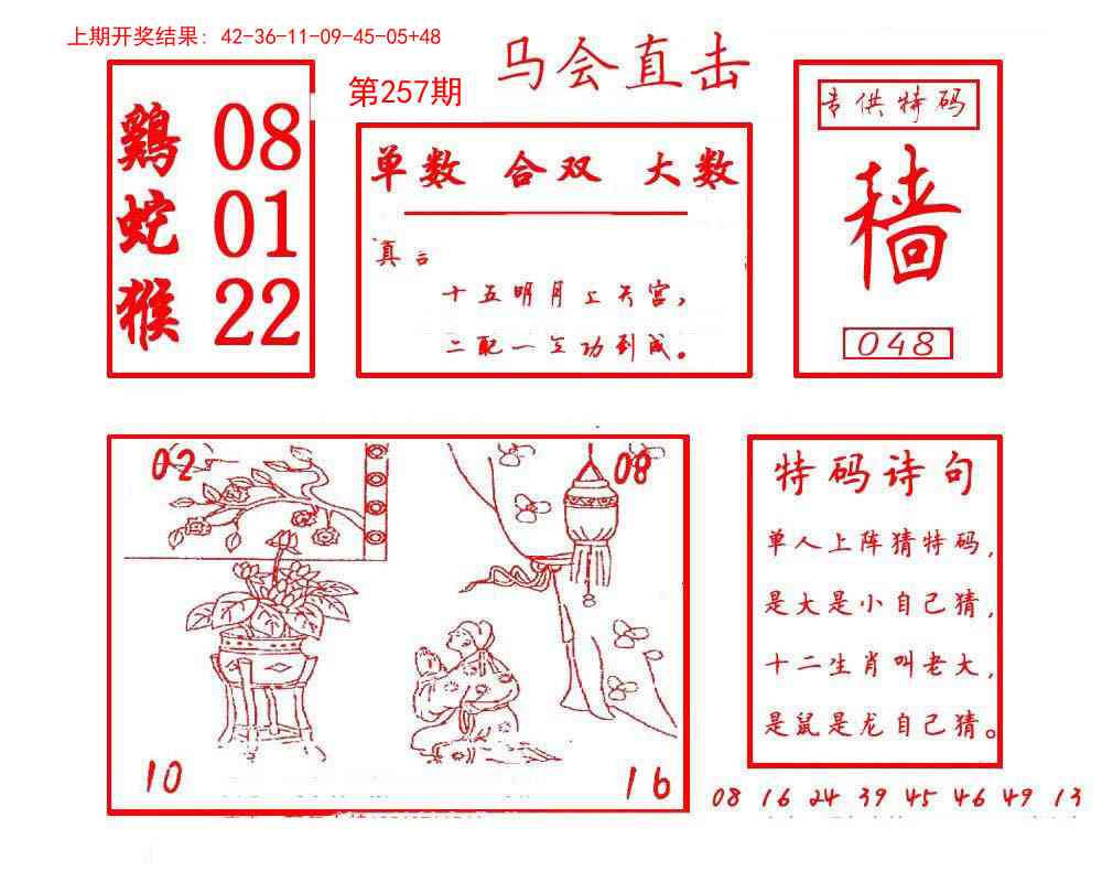 257期马会直击[图]