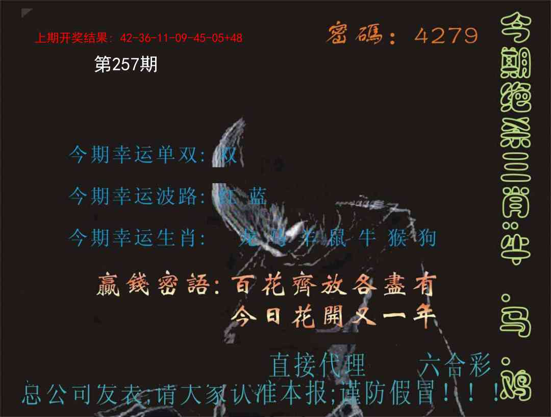 257期特码报[图]