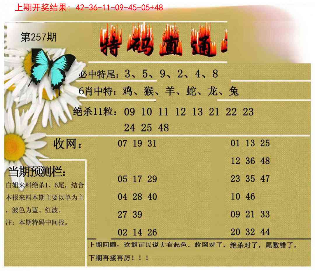 257期特码直通车[图]