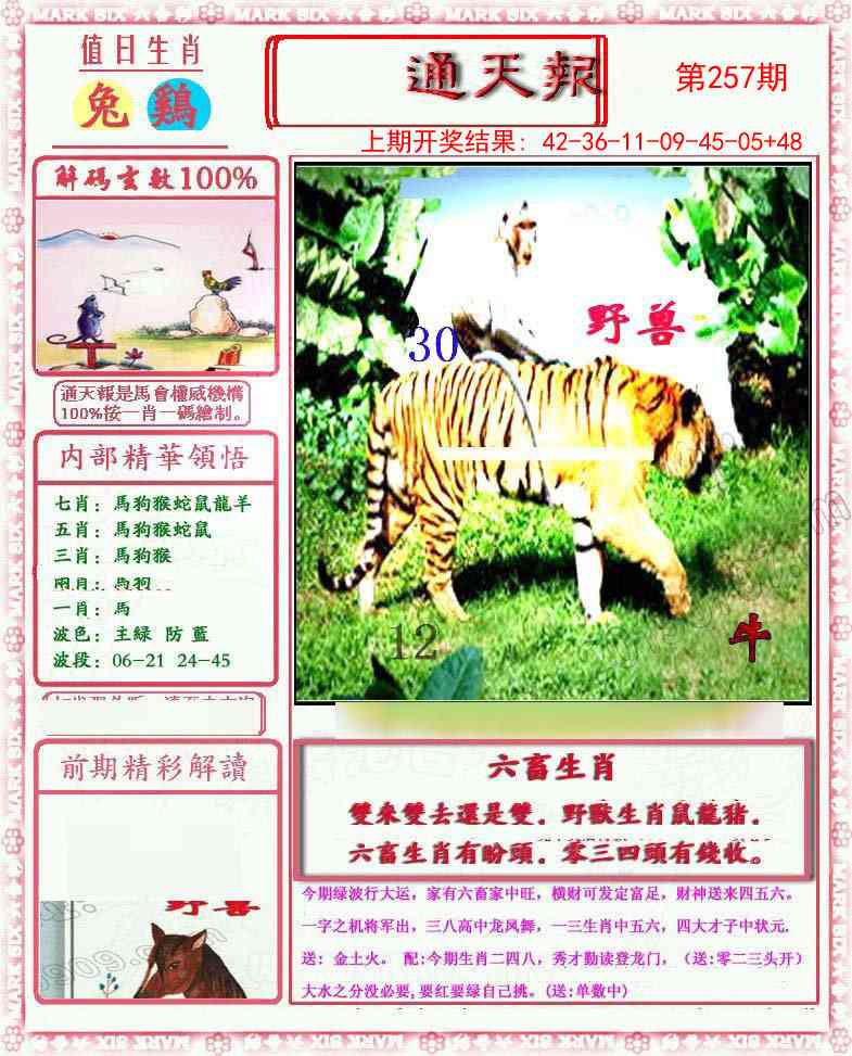 257期小喜通天报[图]