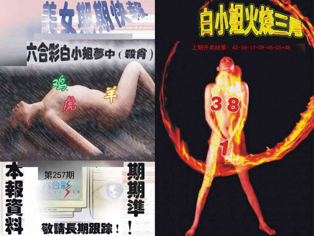 257期环球美女特码报[图]