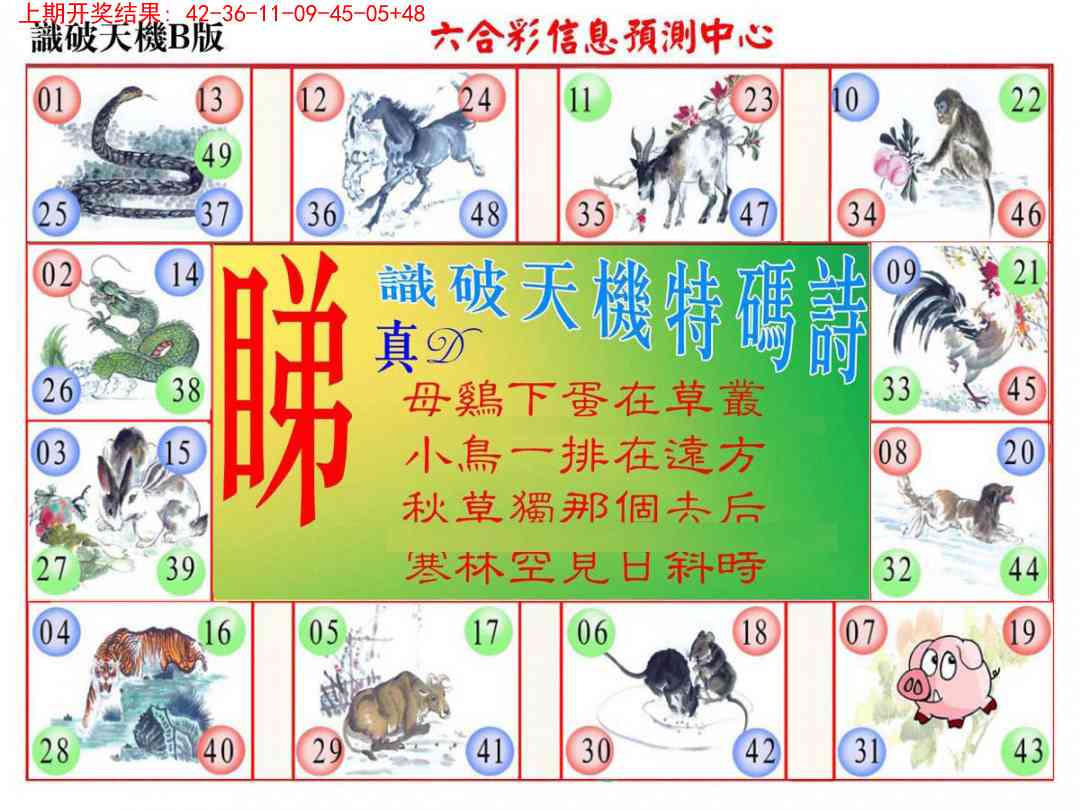 257期识破天机B版[图]