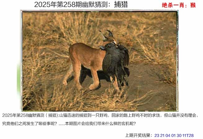 258期幽默猜测[图]