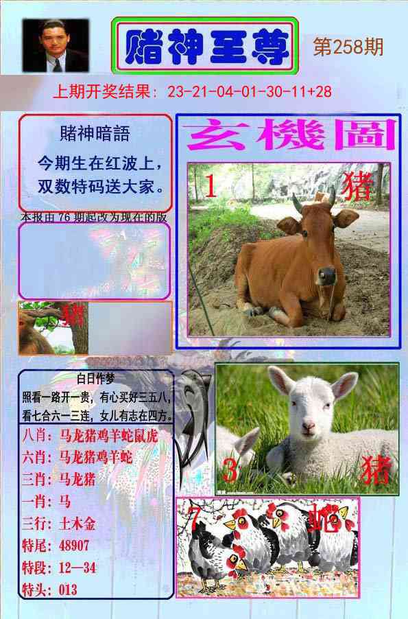 258期赌神至尊[图]