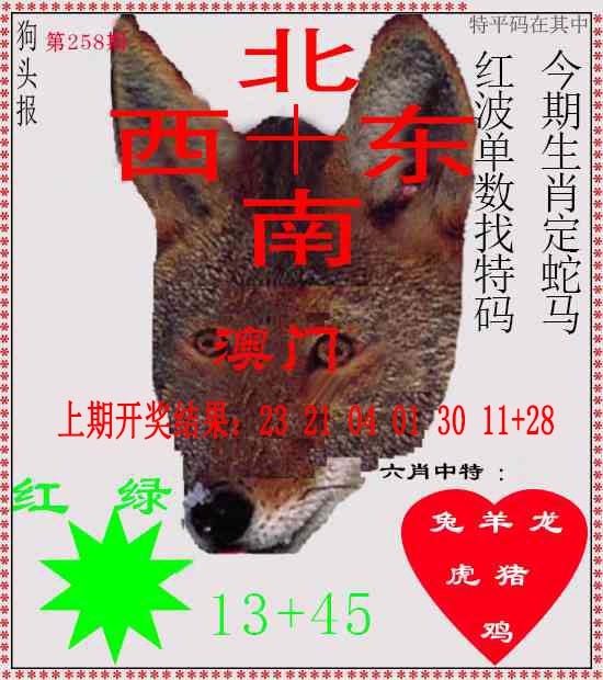 258期狗头报[图]