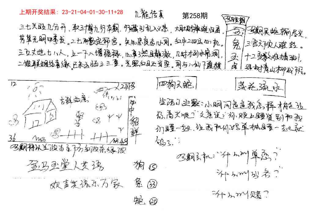 258期手写九龙内幕[图]
