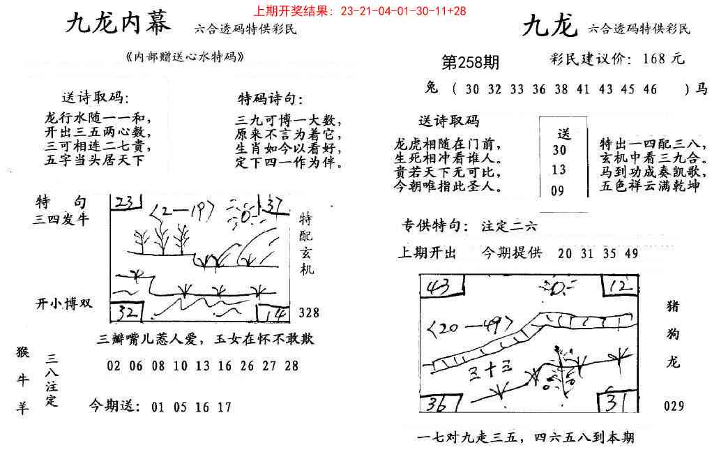 258期九龙内幕[图]